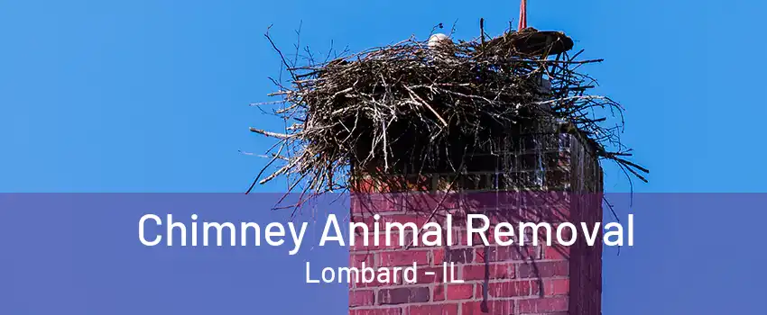Chimney Animal Removal Lombard - IL
