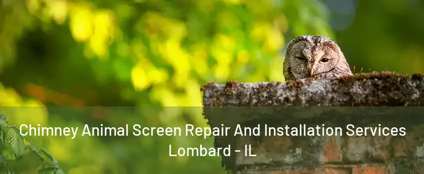 Chimney Animal Screen Repair And Installation Services Lombard - IL