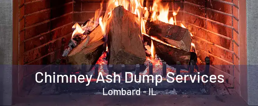 Chimney Ash Dump Services Lombard - IL