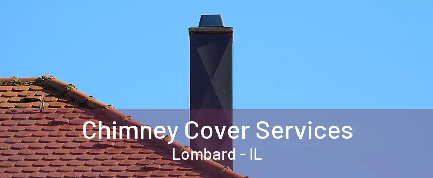 Chimney Cover Services Lombard - IL