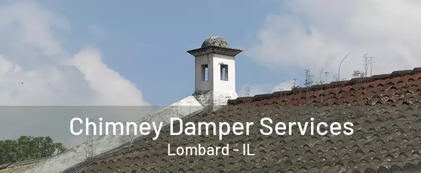 Chimney Damper Services Lombard - IL
