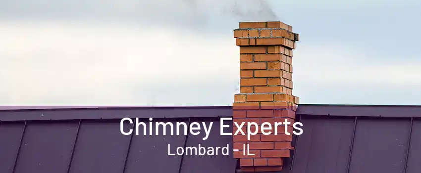 Chimney Experts Lombard - IL