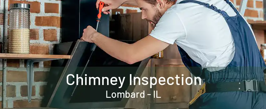 Chimney Inspection Lombard - IL