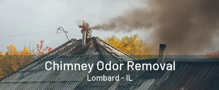 Chimney Odor Removal Lombard - IL