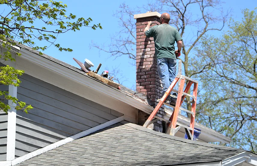 Chimney & Fireplace Inspections Services in Lombard, IL